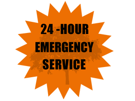 24 HOUR EMERGENCY TREE SERVICE
